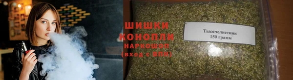mdpv Снежинск