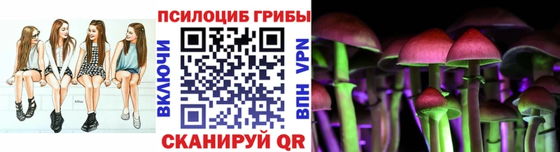 Псилоцибиновые грибы ЛСД  Пионерский 